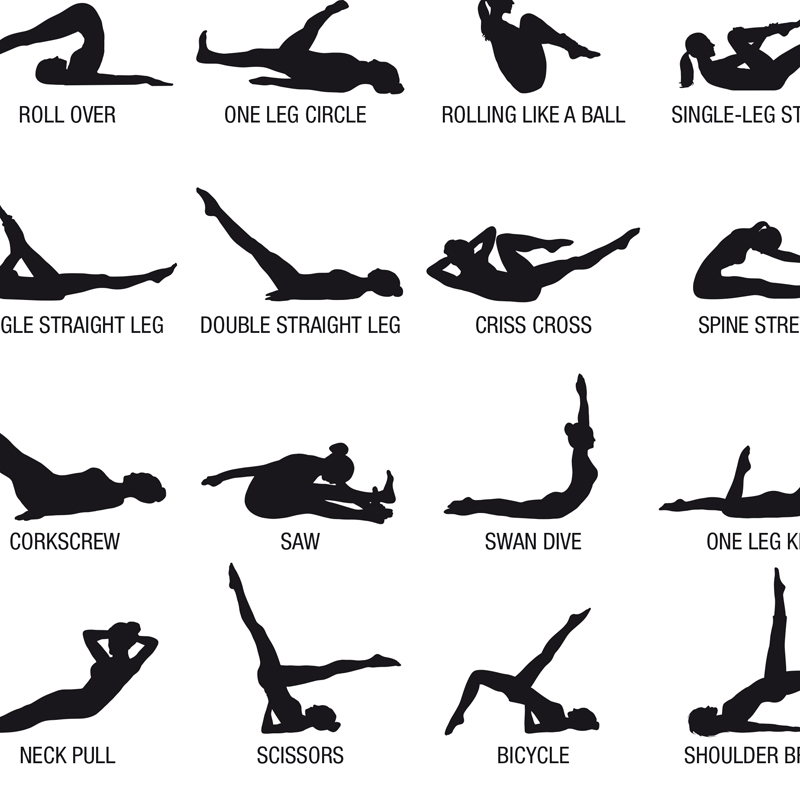 Pilates Workout Chart Poster C - Sustainable Living Guide 评论和价格