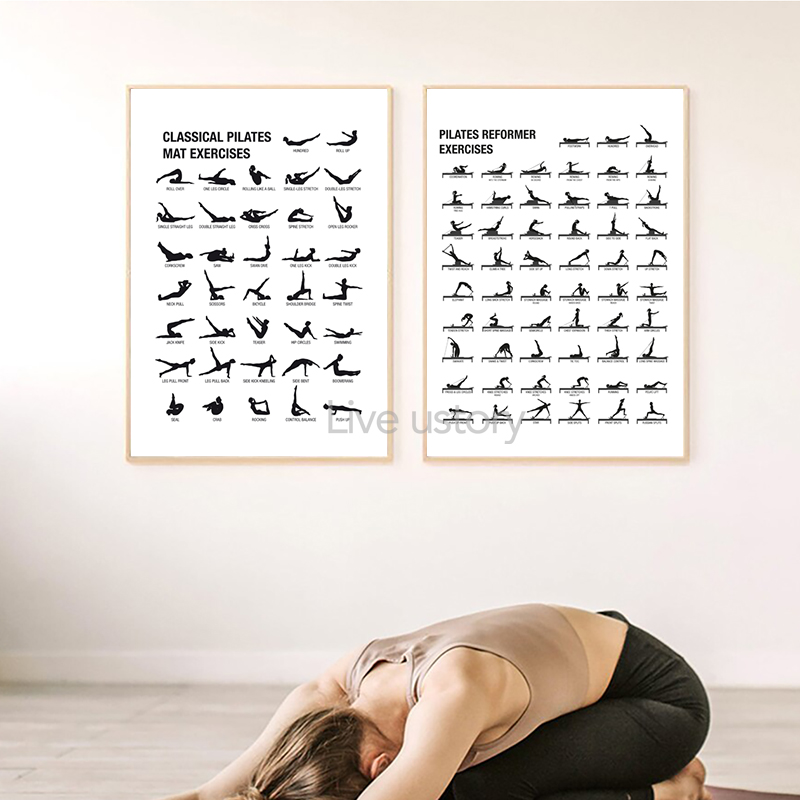Pilates Workout Chart Poster C - Sustainable Living Guide 评论和价格