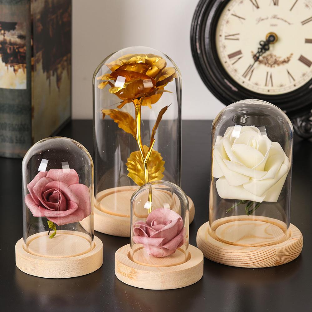 Fairy Lights Plants Transparen - Reusable Bottle 评论和价格