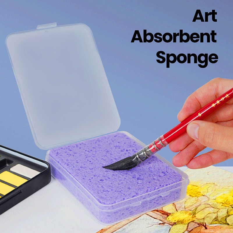 Boxed Watercolor Pigment Paint - Eco Sponge 评论和价格