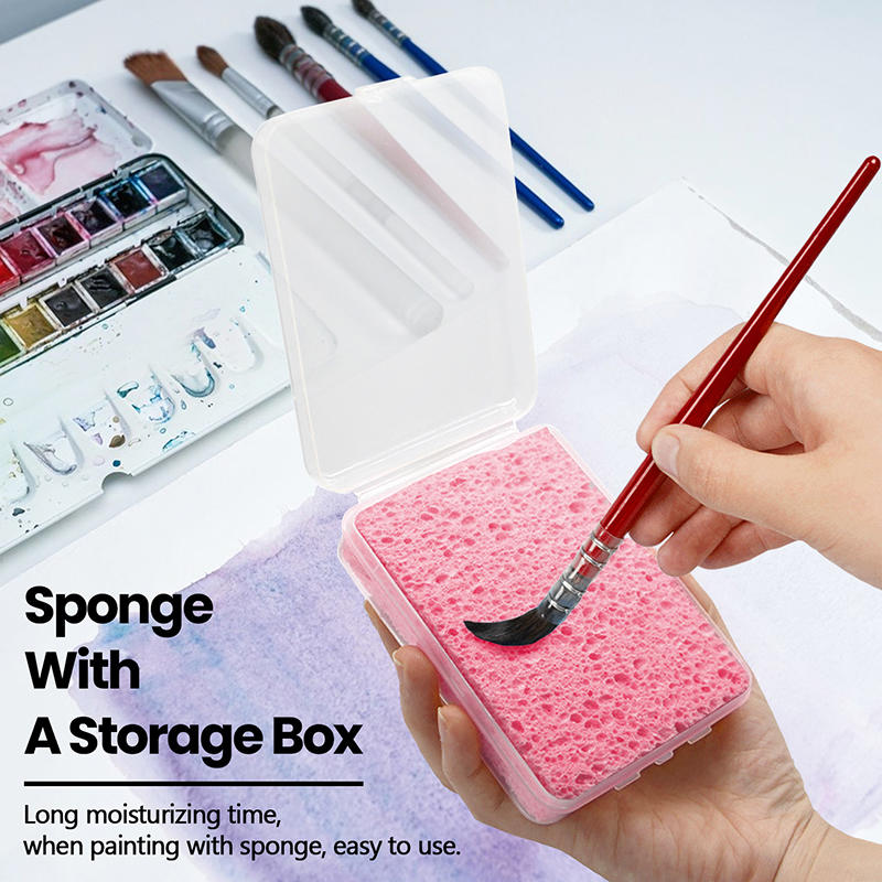 Boxed Watercolor Pigment Paint - Eco Sponge 评论和价格