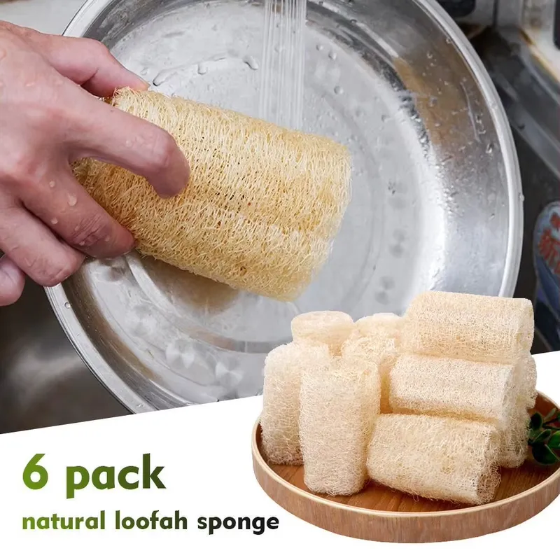 2026 Latest Natural Loofah Luf - Eco Sponge 评论和价格