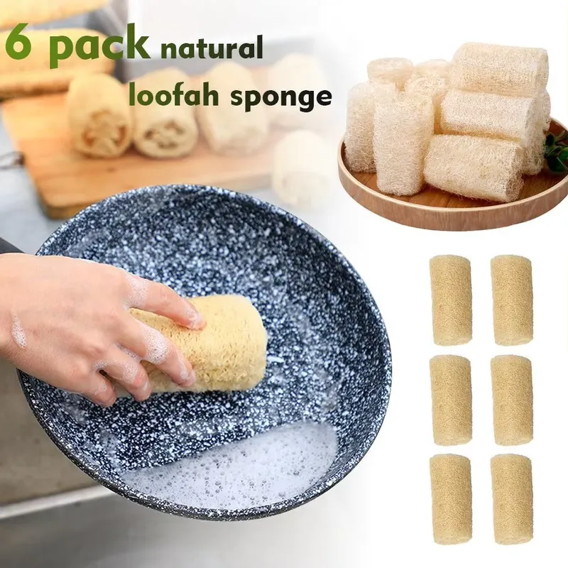 2026 Latest Natural Loofah Luf - Eco Sponge 评论和价格