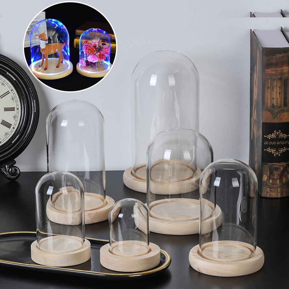 Fairy Lights Home Decor Terrar - Reusable Bottle 评论和价格