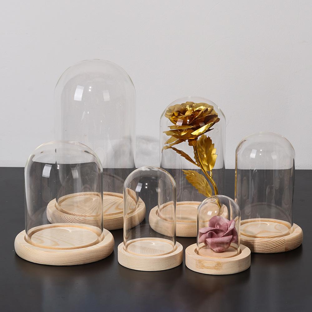 Fairy Lights Home Decor Terrar - Reusable Bottle 评论和价格